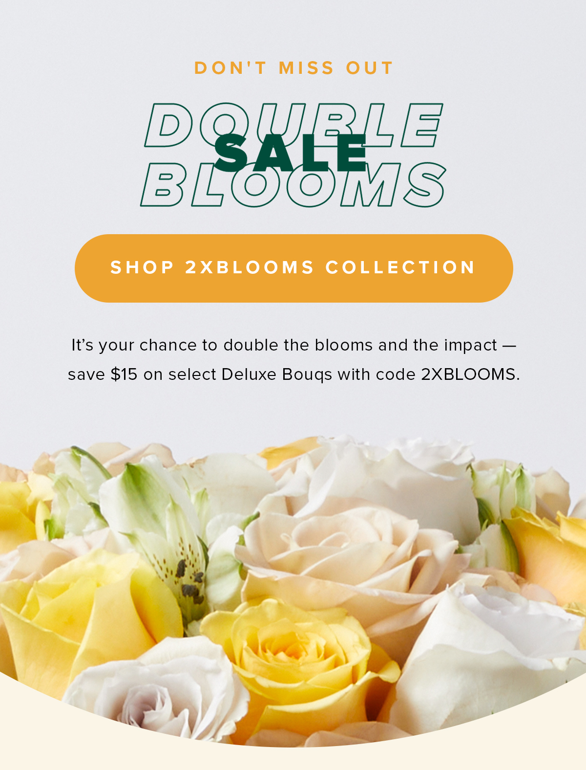 Shop 2XBlooms Collection