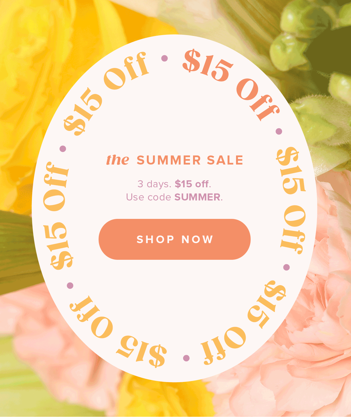 3 days. 15 dollars off. Use Code SUMMER.
