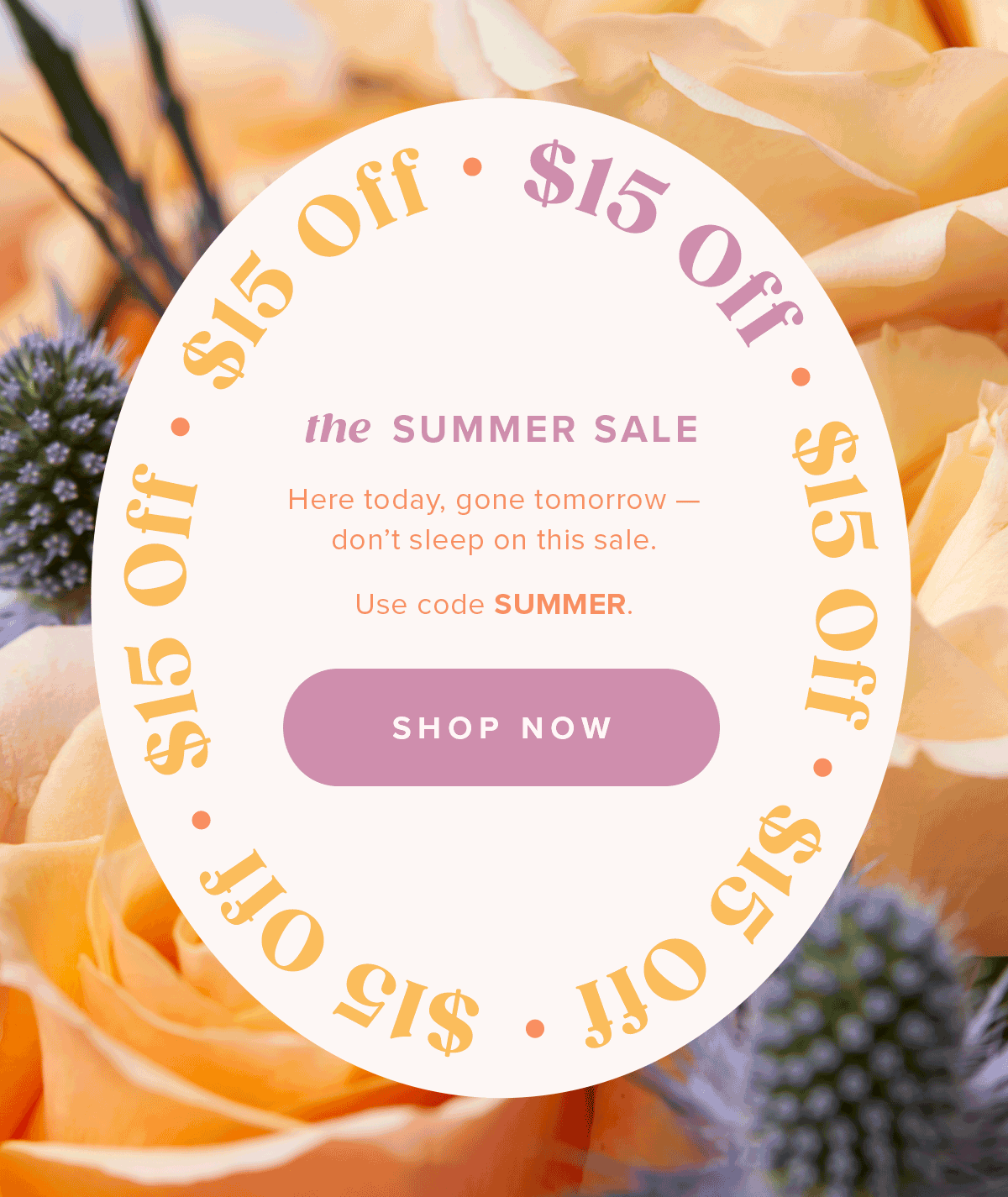 The Summer Sale. Use Code SUMMER.