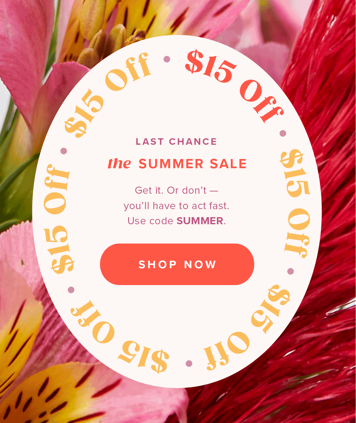 Last Chance. The Summer Sale. Use Code SUMMER.