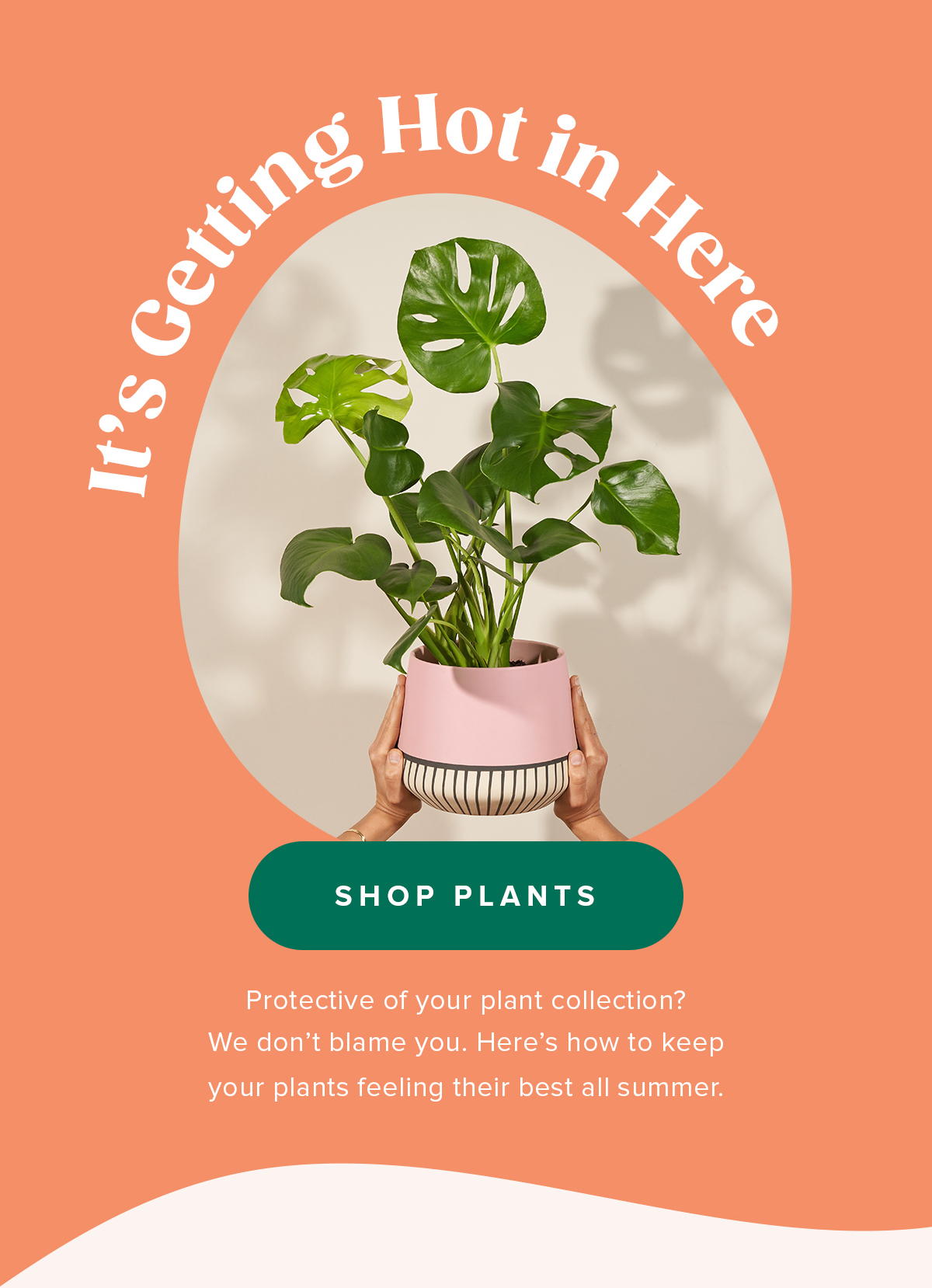 It's Getting Hot in Here