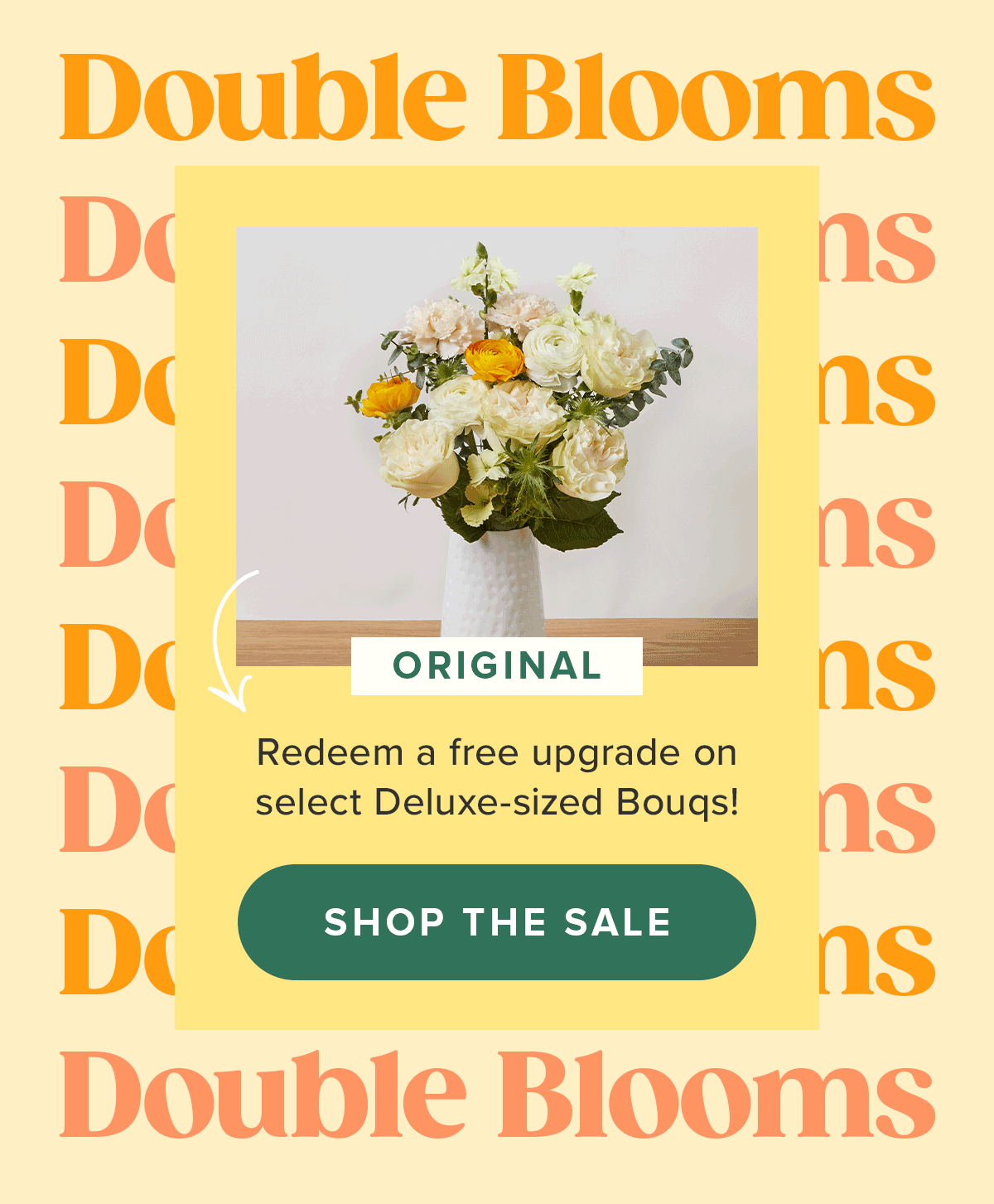 Cheers to Double Blooms 🥂 The Bouqs Company