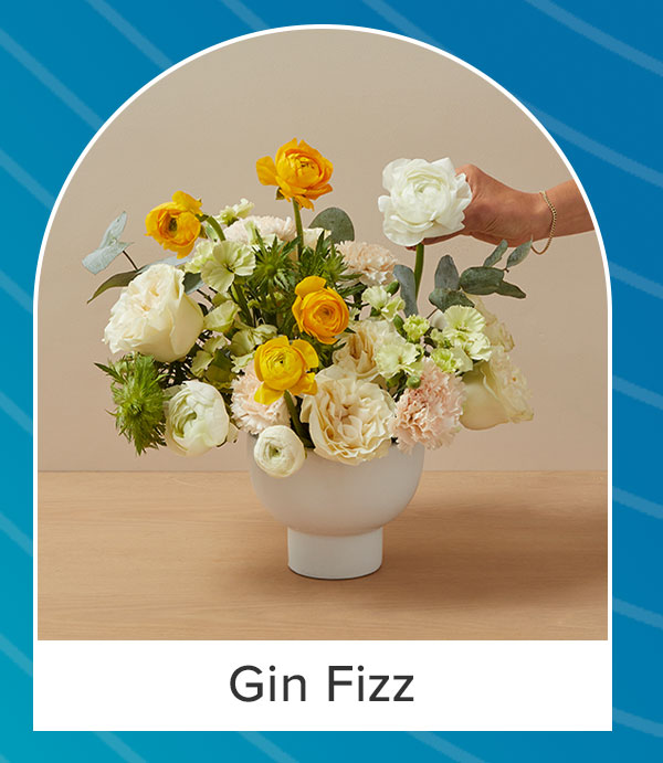 Gin Fizz