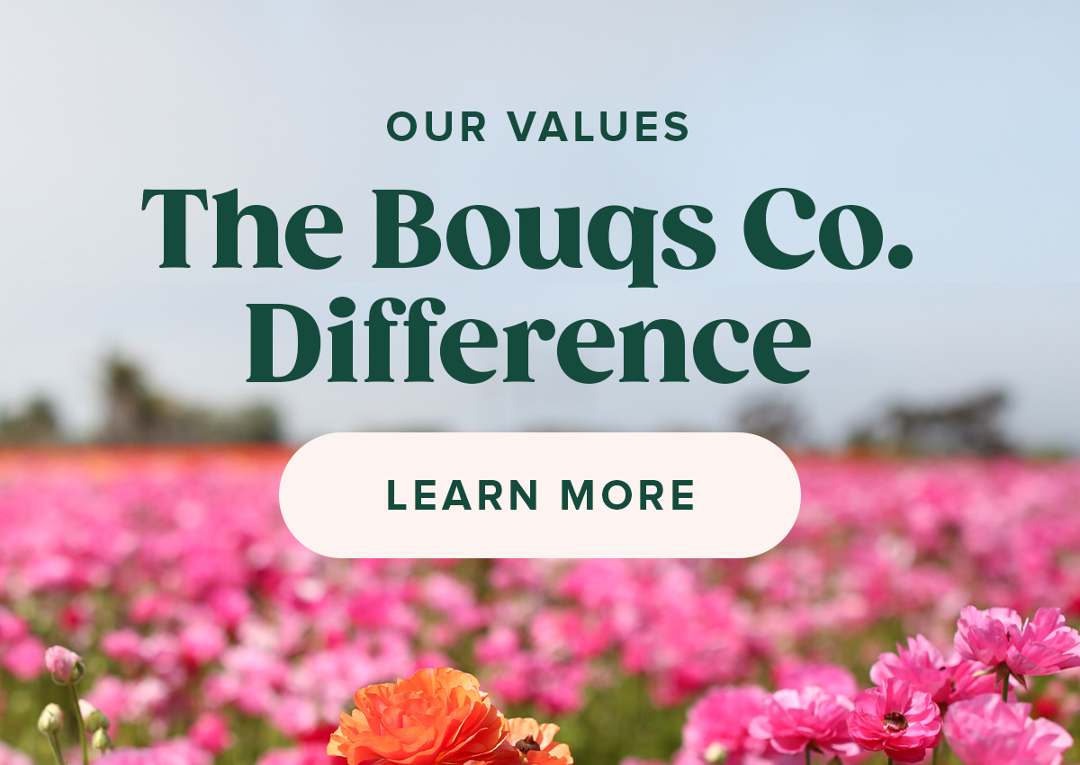 The Bouqs Co. Difference - Learn more