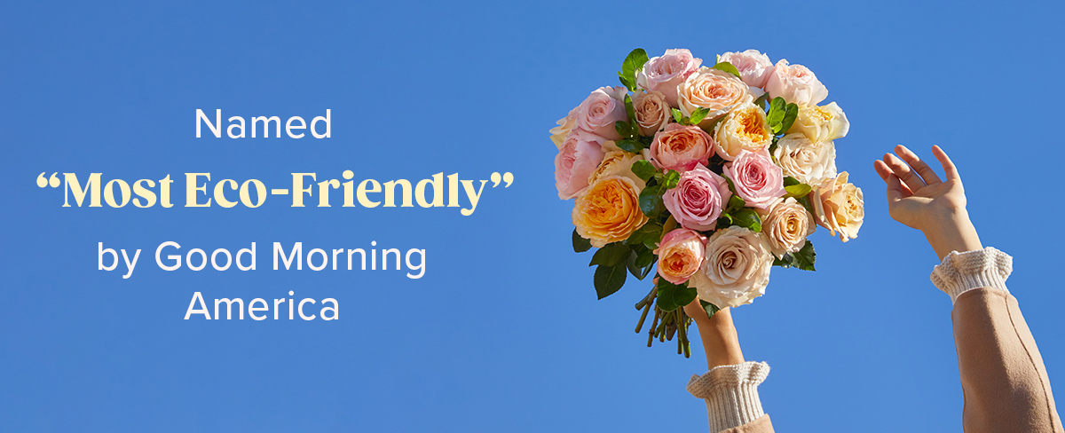 Named ''Most Eco-Friendly'' by Good Morning America