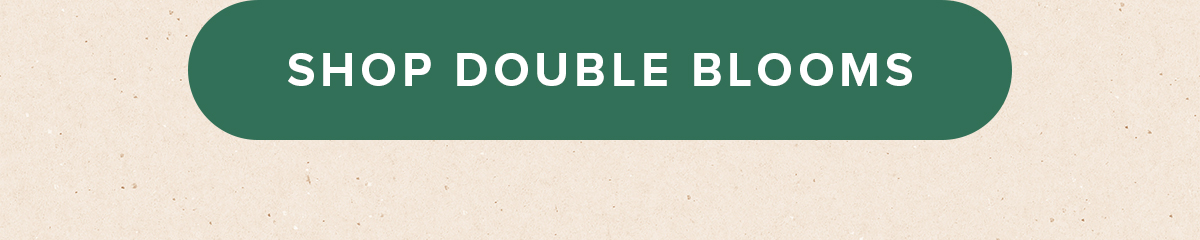 SHOP DOUBLE BLOOMS SHOP DOUBLE BLOOMS