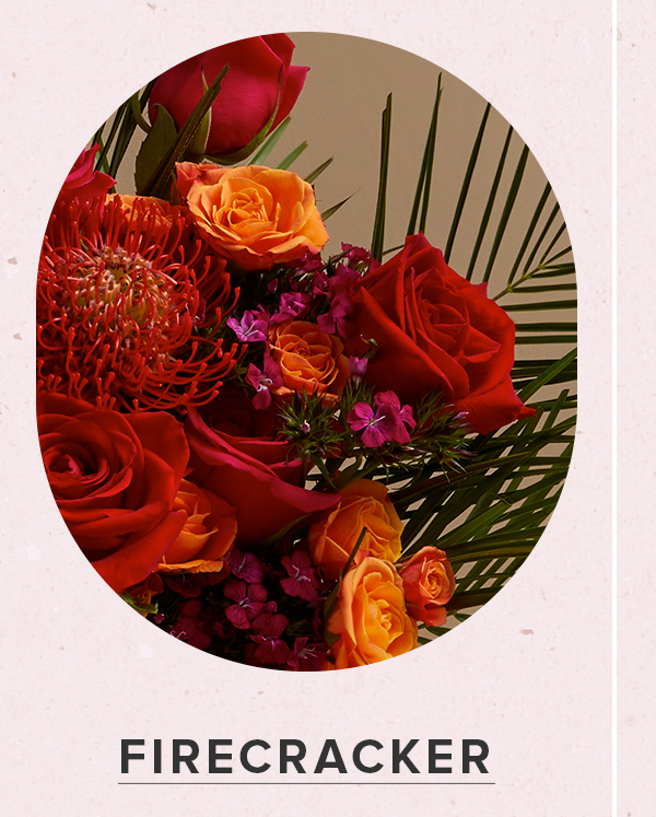 FIRECRACKER