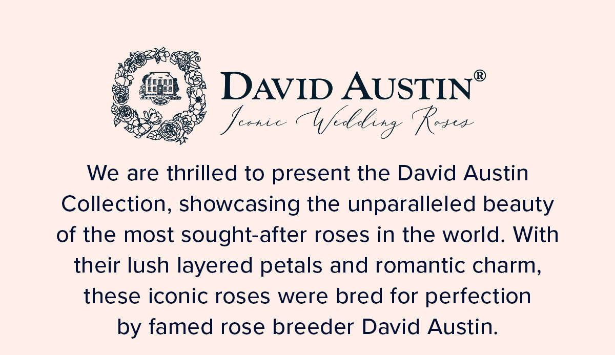 David Austin Collection