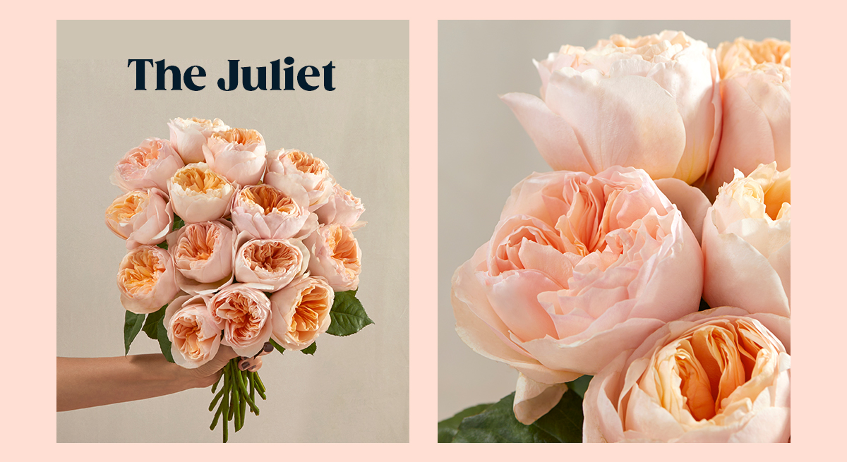 The Juliet