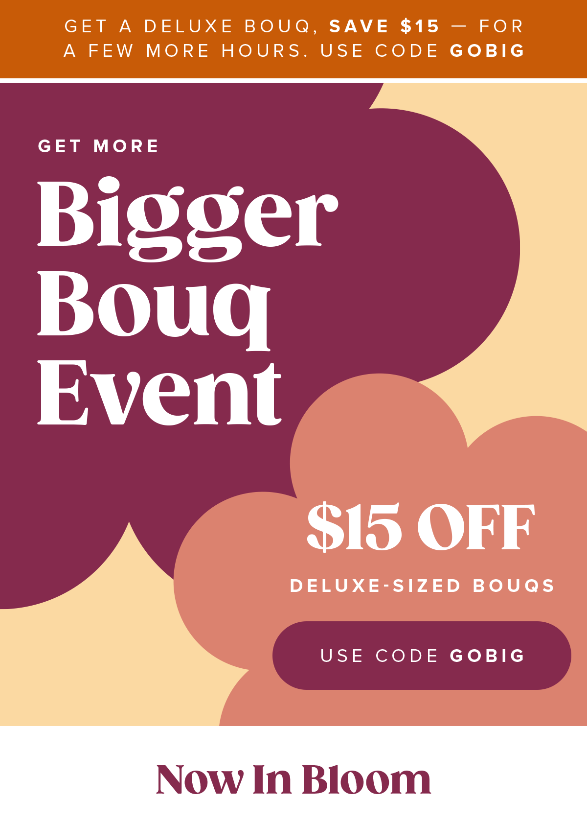 GET A DELUSE BOUQ, SAVE $15 - FOR A FEW MORE HOURS, USE CODE GOBIG