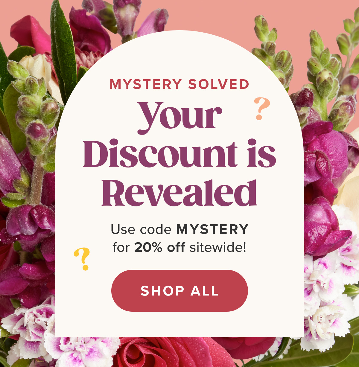 Your Discount is Revealed. Use code MYSTERY for 20% off sitewide