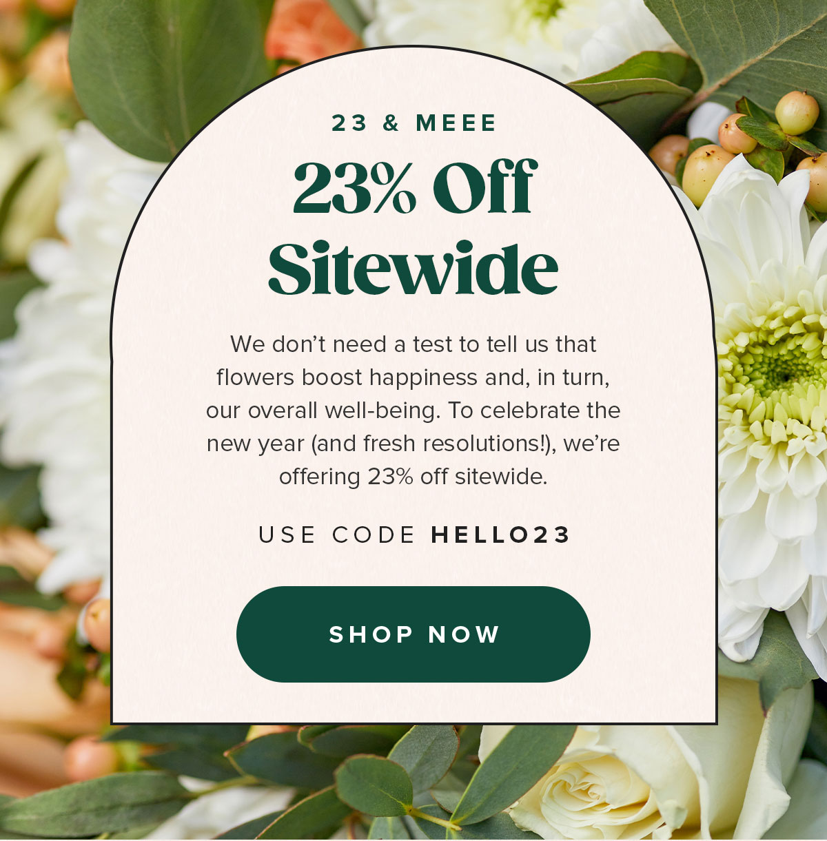 23 percent off sitewide. Use code: HELLO23