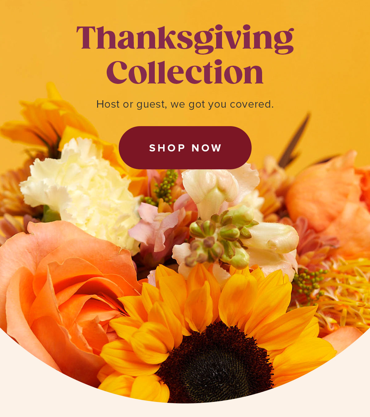 Thanksgiving Collection