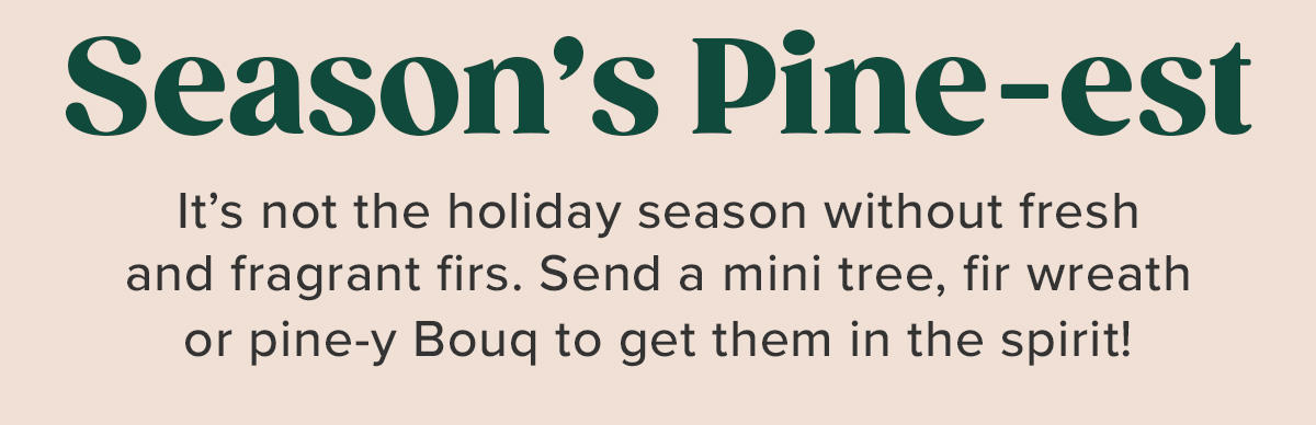 Season's Pine-est