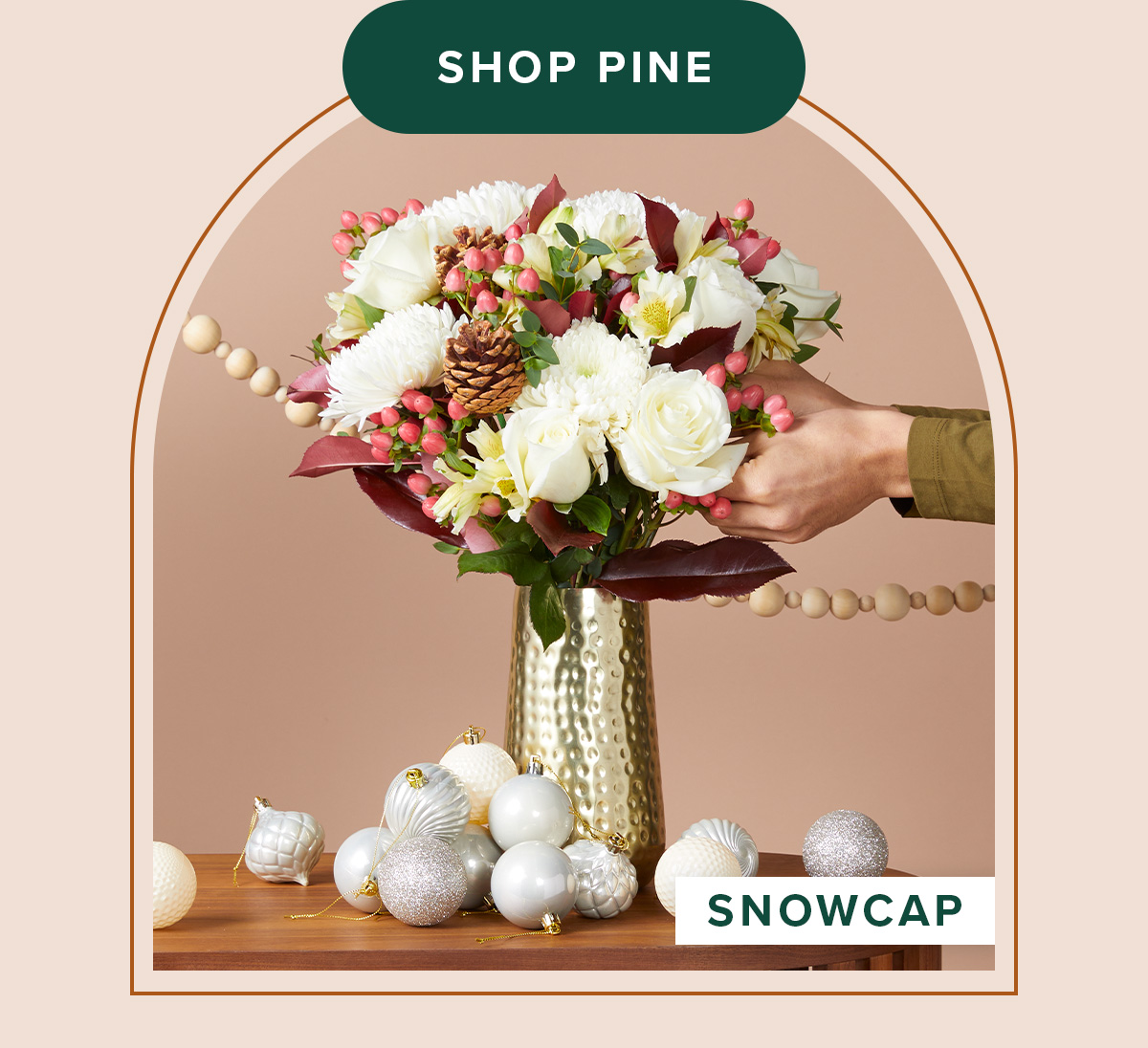 SHOP PINE