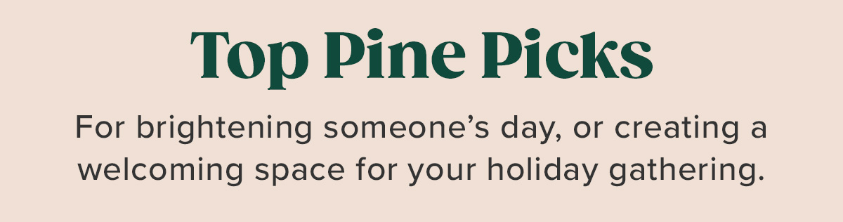 Top Pine Picks