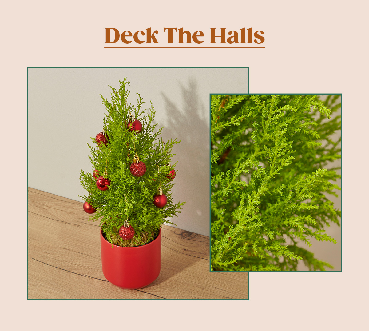 Deck the Halls