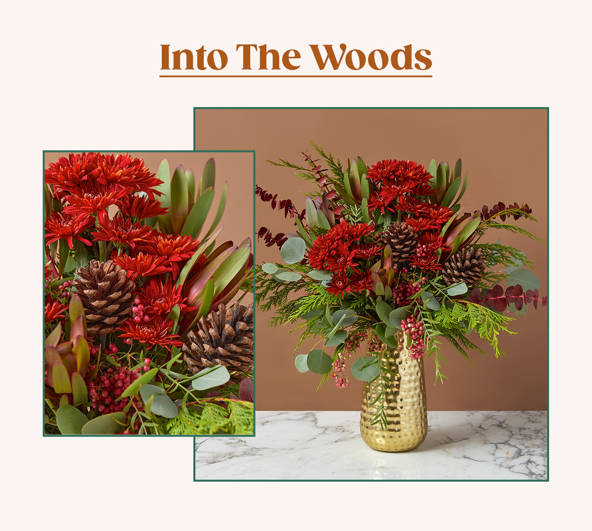 Into the Woods