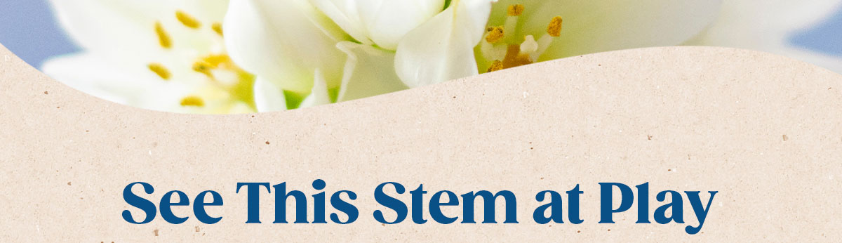 See This Stem At Play