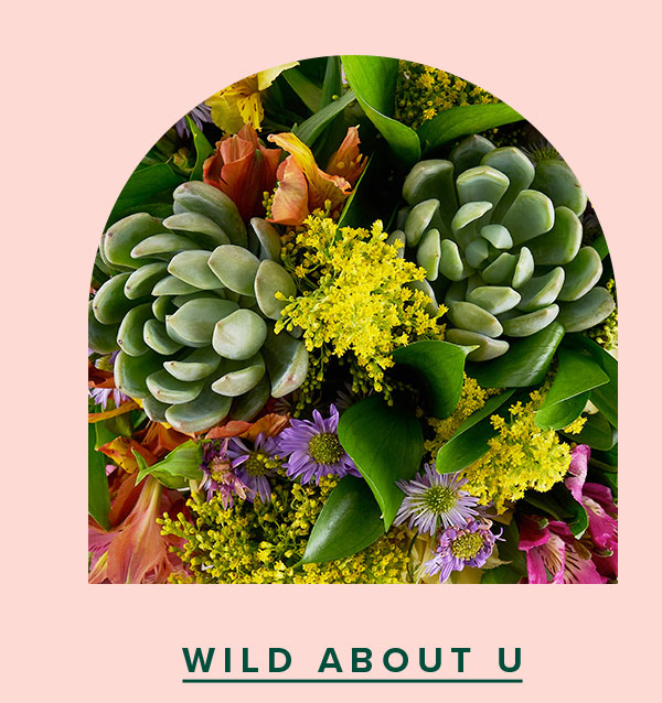 Wild About U