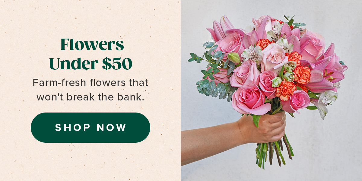 Gifts Under 50 Dollars