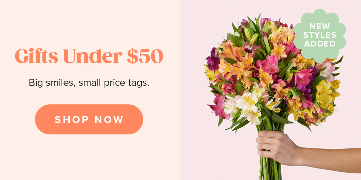 Gifts Under 50 Dollars