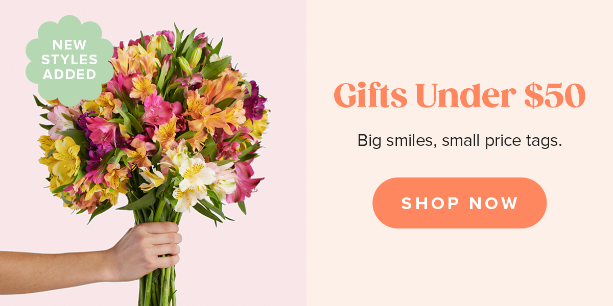 Gifts Under 50 Dollars