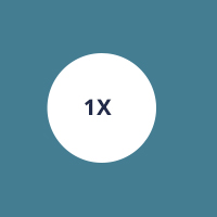 Click here to shop in size 1X.