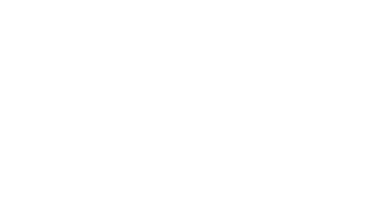 Faces of Long Island logo Faces of Long Island logo