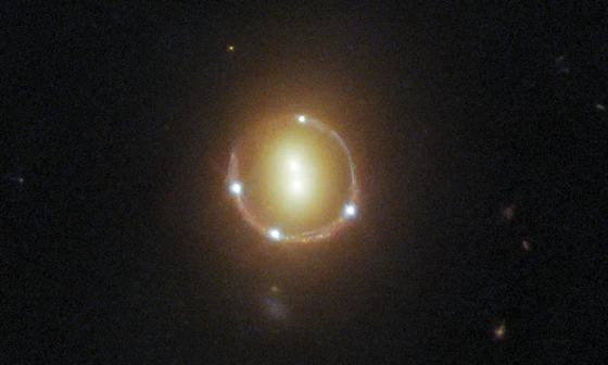 Video Image