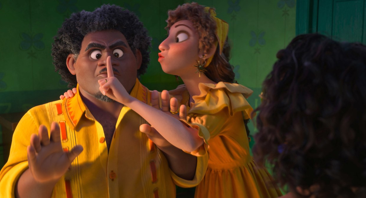 Video Image Video Image