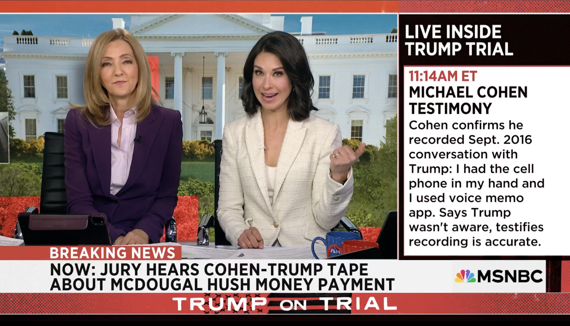 A screencap of Ana Cabrera reports