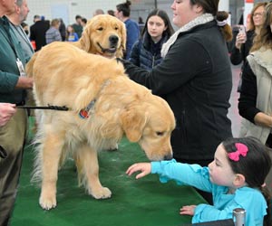 Meet the Breeds!