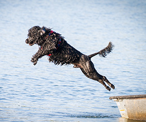 June Slideshow