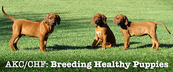 Breeder Excellence Seminars