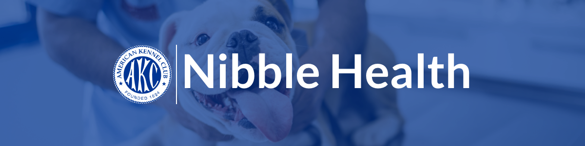 Nibble Health