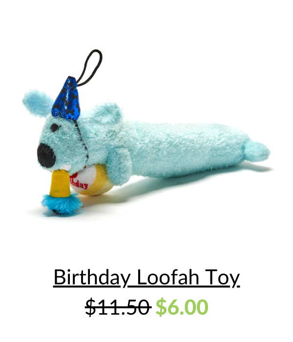 A squeaky toy for your birthday pup!