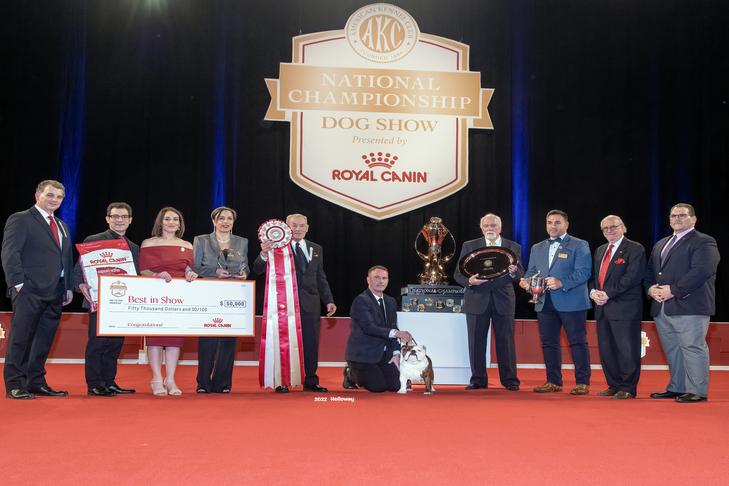 Bulldog 'Star' Crowned Best in Show