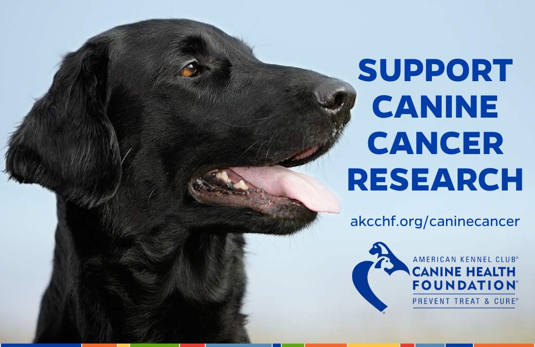 Advancing the Health of All Dogs