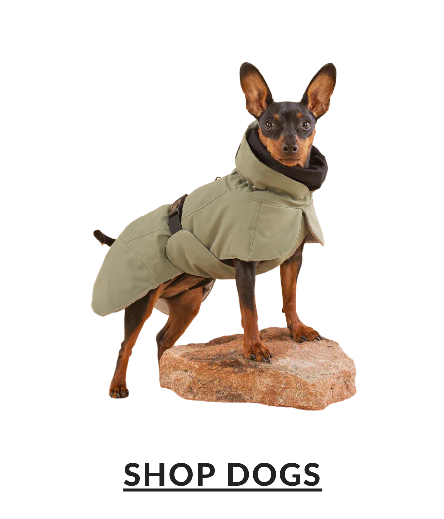 BOGO 50% OFF!
