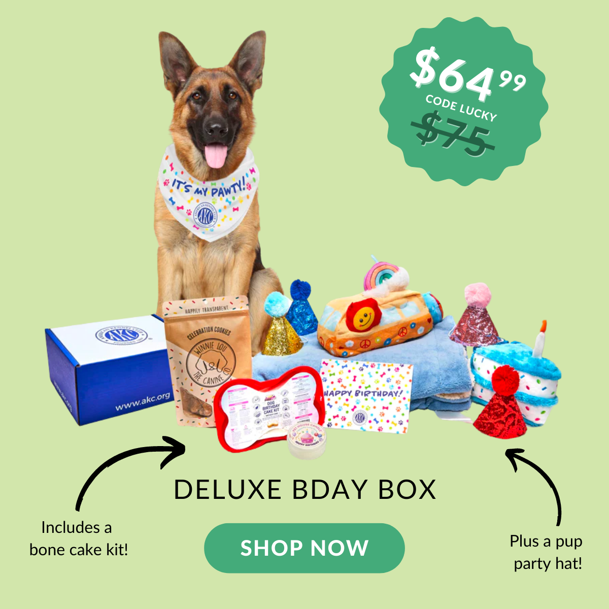 Shop The Birthday Box