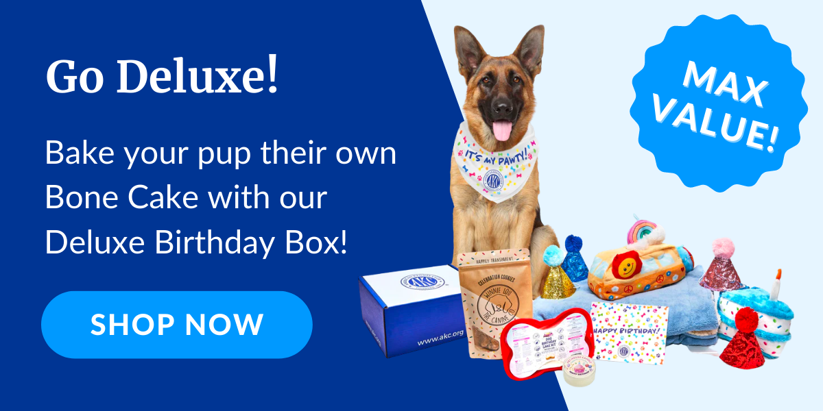 Celebrate your pup with a Bday Box!
