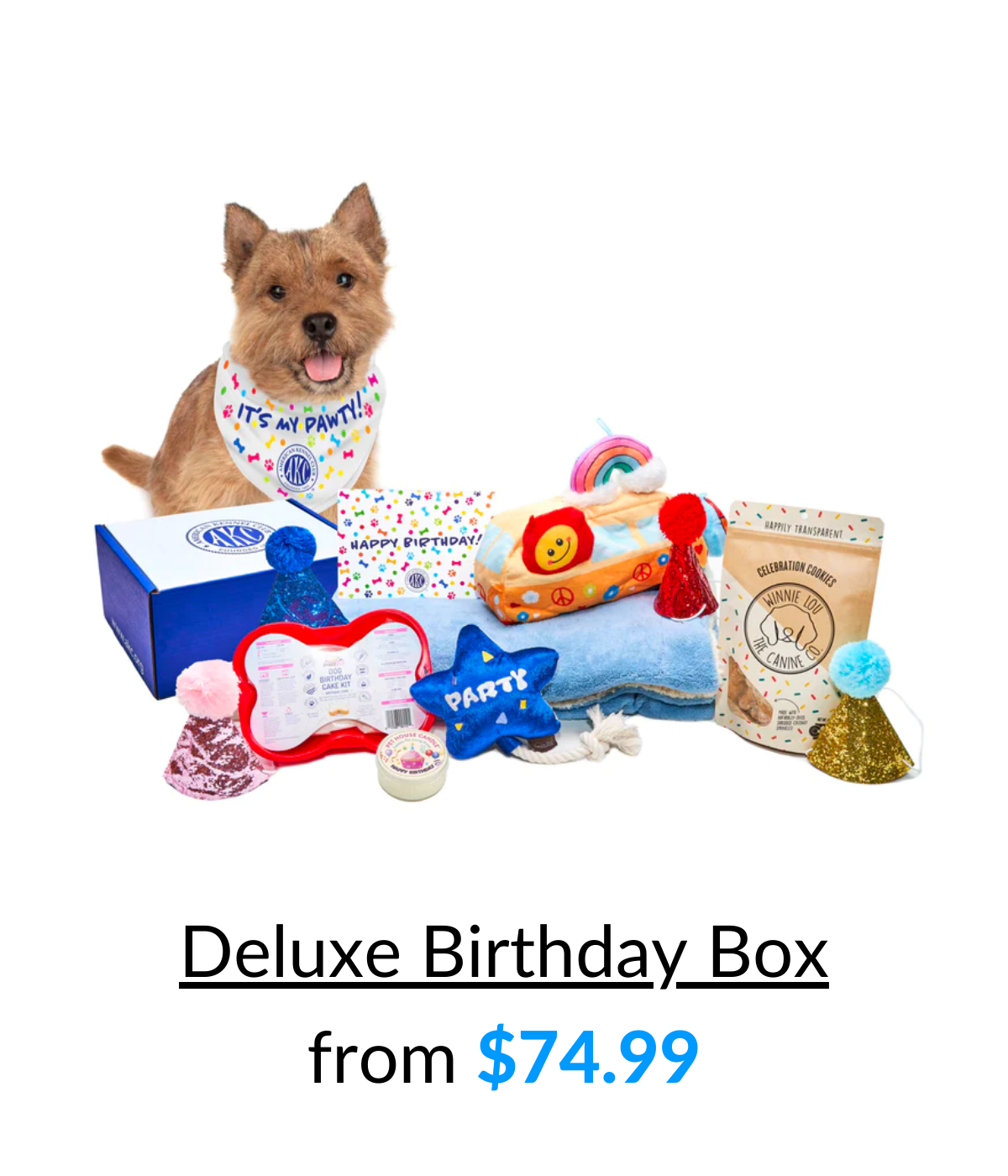 Celebrate your pup with a Bday Box!