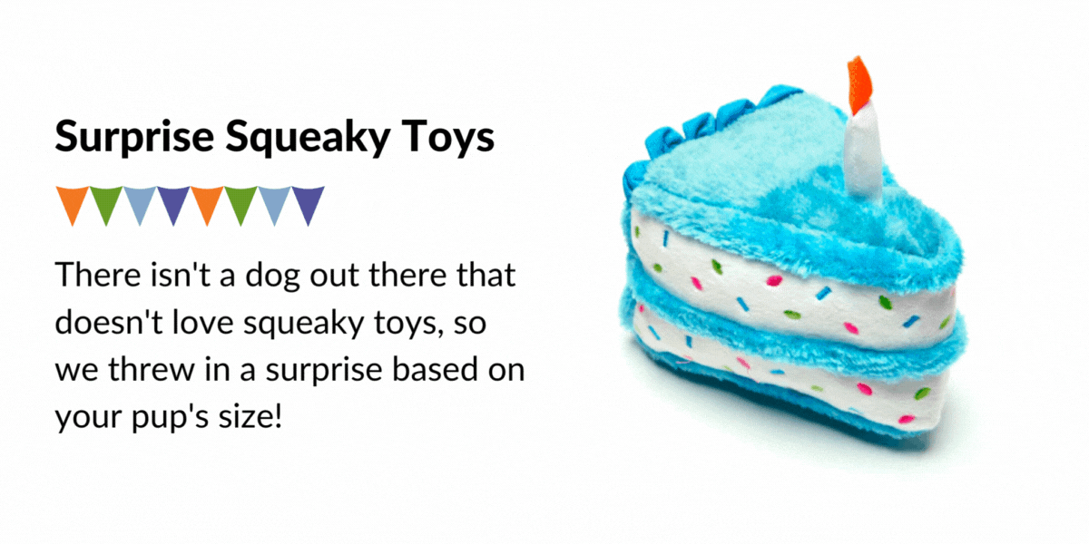 Our all new Bday Box is here!