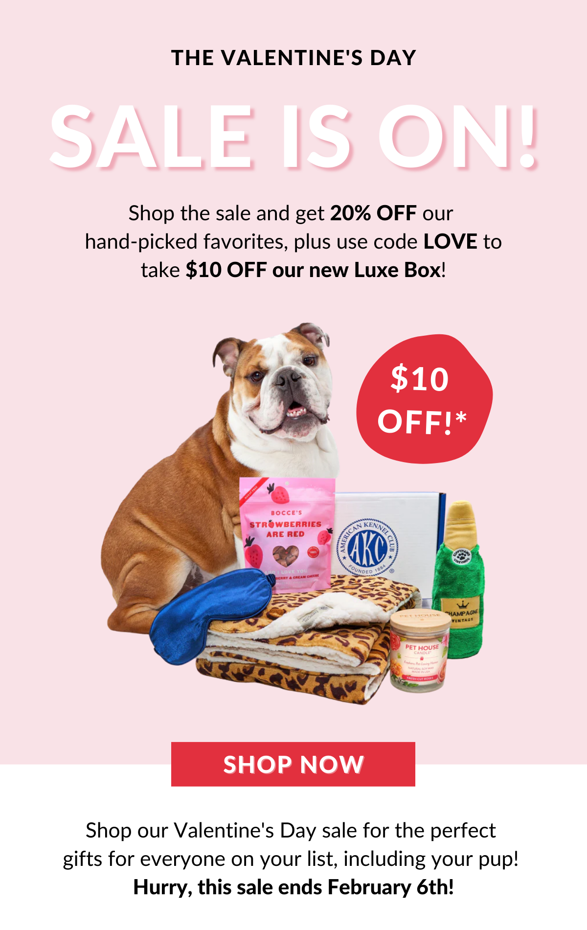 Explore our Valentine's Day Shop