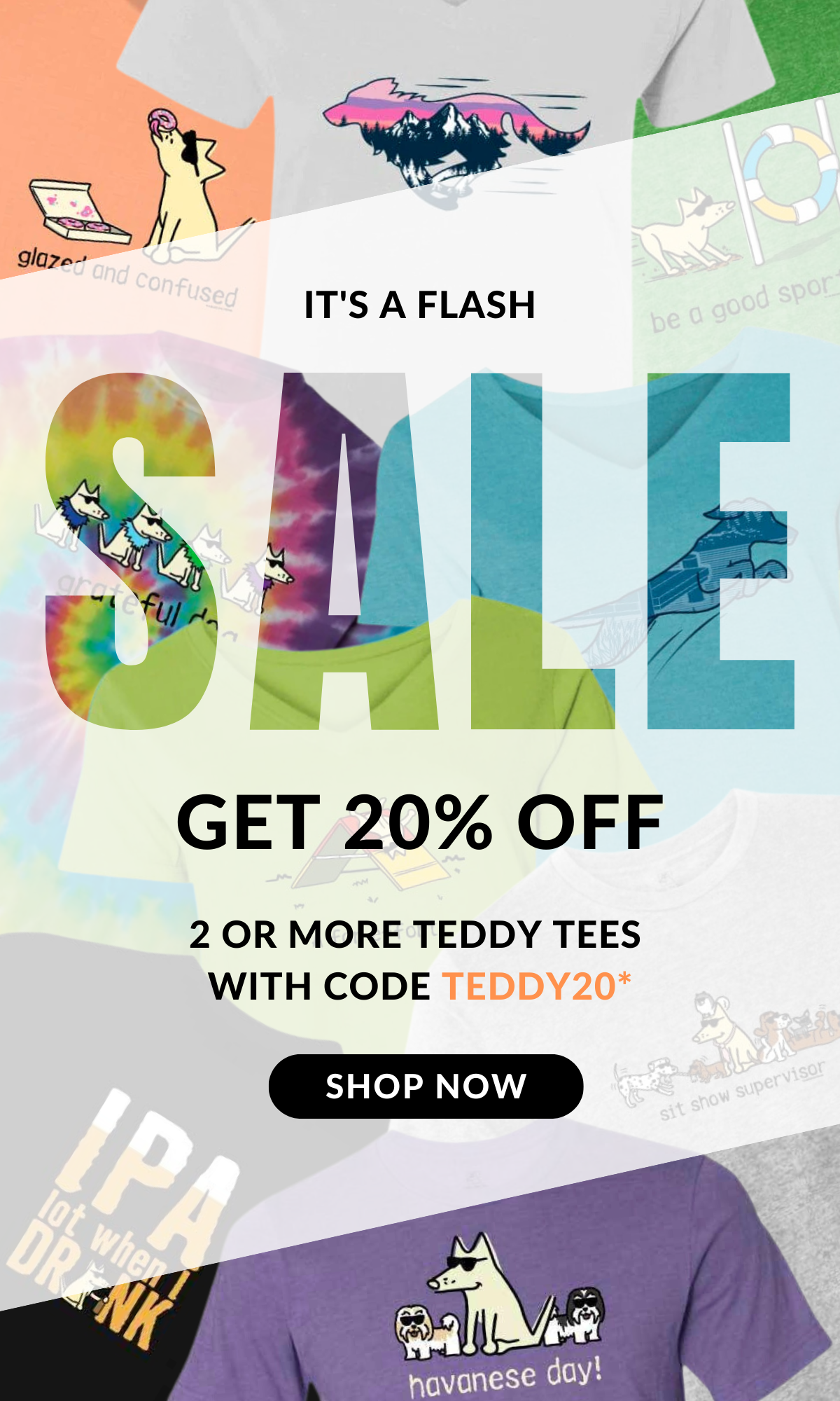 FLASH SALE on select Teddy!