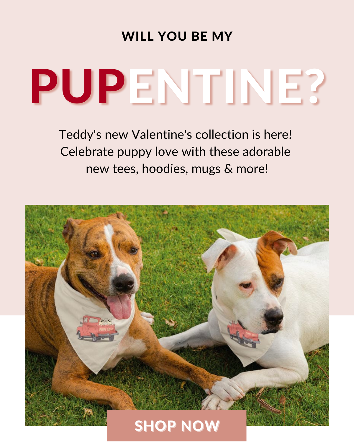 Shop Teddy's VDay Graphics!