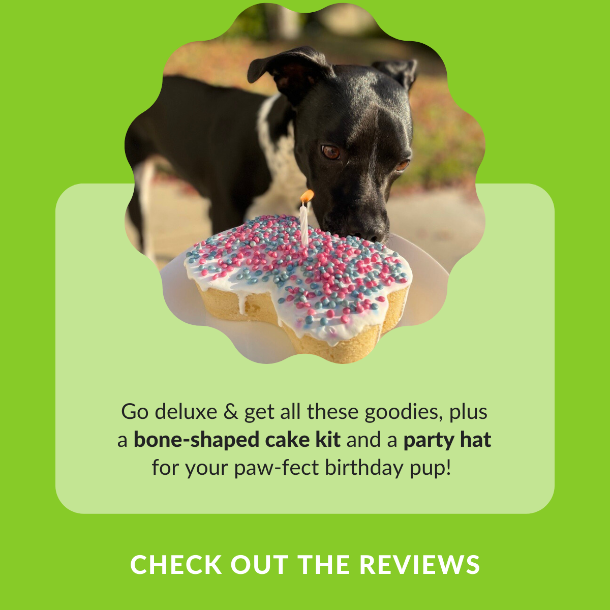 Shop The Birthday Box