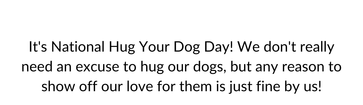 It's National Hug Your Hound Day!
