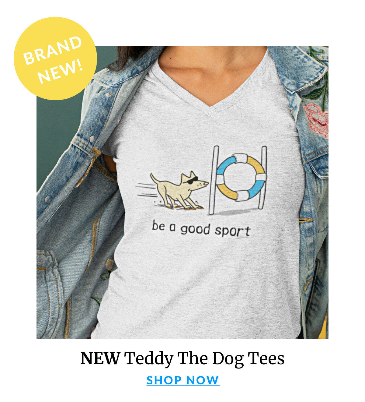 Shop NEW Teddy Designs